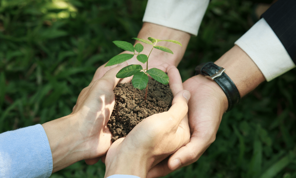 sustainability image